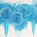 Tomoko Yokoyama Gallery